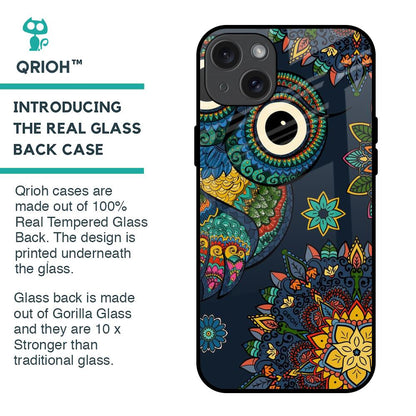 Owl Art Glass Case for iPhone 15 Plus
