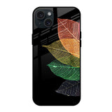 Colorful Leaves iPhone 15 Plus Glass Back Cover Online