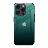 Palm Green iPhone 15 Pro Glass Back Cover Online