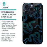 Serpentine Glass Case for iPhone 15 Pro