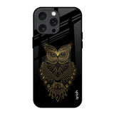 Golden Owl iPhone 15 Pro Max Glass Back Cover Online