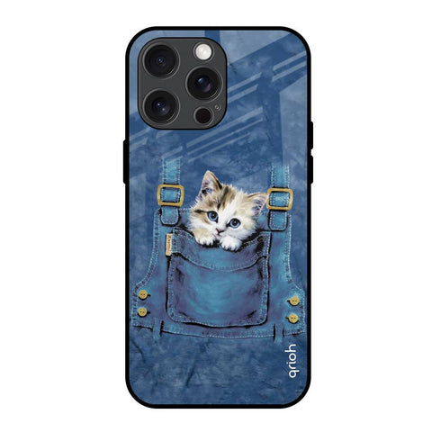 Kitty In Pocket iPhone 15 Pro Max Glass Back Cover Online