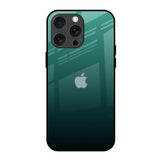 Palm Green iPhone 15 Pro Max Glass Back Cover Online