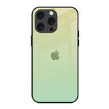 Mint Green Gradient iPhone 15 Pro Max Glass Back Cover Online
