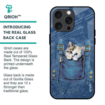 Kitty In Pocket Glass Case For iPhone 15 Pro Max