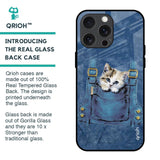 Kitty In Pocket Glass Case For iPhone 15 Pro Max