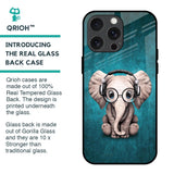 Adorable Baby Elephant Glass Case For iPhone 15 Pro Max