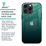 Palm Green Glass Case For iPhone 15 Pro Max