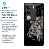 Brave Lion Glass Case for Vivo V29 5G