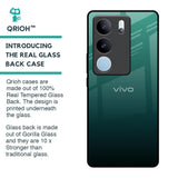 Palm Green Glass Case For Vivo V29 5G