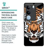 Angry Tiger Glass Case For Vivo V29 Pro 5G