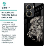 Brave Lion Glass Case for Vivo V29e 5G