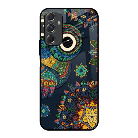 Owl Art Samsung Galaxy F34 5G Glass Back Cover Online