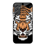 Angry Tiger Samsung Galaxy M34 5G Glass Back Cover Online