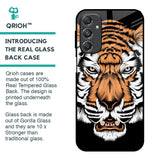 Angry Tiger Glass Case For Samsung Galaxy M34 5G
