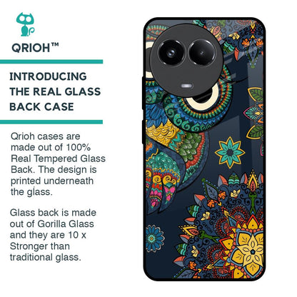 Owl Art Glass Case for Realme 11x 5G