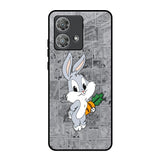 Cute Baby Bunny Motorola Edge 40 Neo Glass Back Cover Online