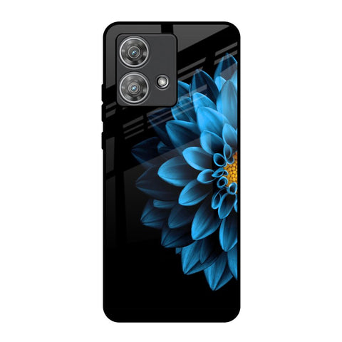 Half Blue Flower Motorola Edge 40 Neo Glass Back Cover Online