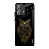 Golden Owl Motorola Edge 40 Neo Glass Back Cover Online