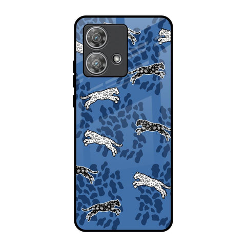 Blue Cheetah Motorola Edge 40 Neo Glass Back Cover Online