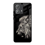 Brave Lion Motorola Edge 40 Neo Glass Back Cover Online