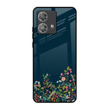 Small Garden Motorola Edge 40 Neo Glass Back Cover Online