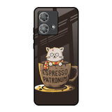 Tea With Kitty Motorola Edge 40 Neo Glass Back Cover Online
