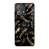 Autumn Leaves Motorola Edge 40 Neo Glass Back Cover Online