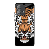 Angry Tiger Motorola Edge 40 Neo Glass Back Cover Online