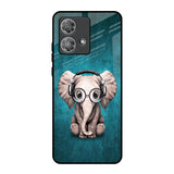 Adorable Baby Elephant Motorola Edge 40 Neo Glass Back Cover Online