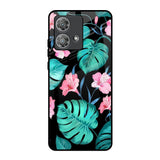 Tropical Leaves & Pink Flowers Motorola Edge 40 Neo Glass Back Cover Online