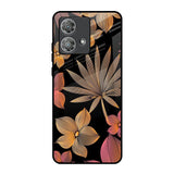 Lines Pattern Flowers Motorola Edge 40 Neo Glass Back Cover Online