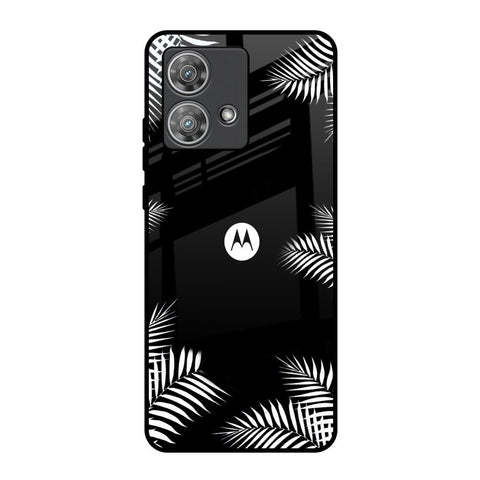 Zealand Fern Design Motorola Edge 40 Neo Glass Back Cover Online
