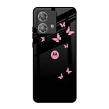 Fly Butterfly Motorola Edge 40 Neo Glass Back Cover Online
