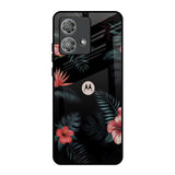 Tropical Art Flower Motorola Edge 40 Neo Glass Back Cover Online