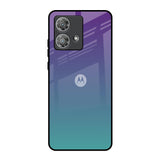 Shroom Haze Motorola Edge 40 Neo Glass Back Cover Online