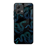 Serpentine Motorola G84 5G Glass Back Cover Online