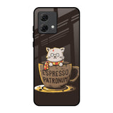 Tea With Kitty Motorola G84 5G Glass Back Cover Online