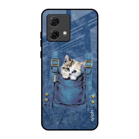 Kitty In Pocket Motorola G84 5G Glass Back Cover Online