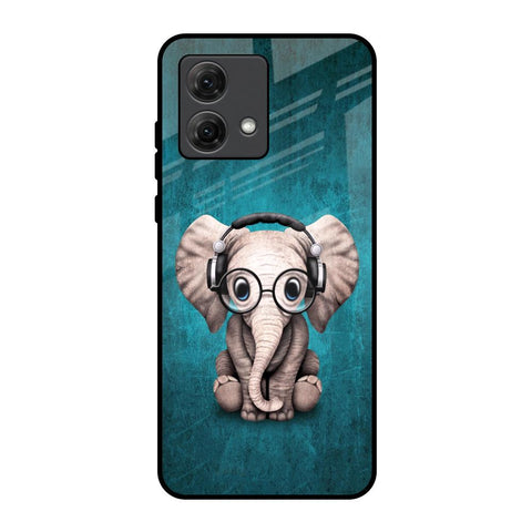 Adorable Baby Elephant Motorola G84 5G Glass Back Cover Online