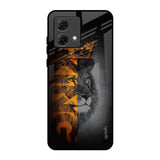 King Of Forest Motorola G84 5G Glass Back Cover Online