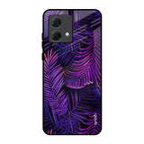 Plush Nature Motorola G84 5G Glass Back Cover Online