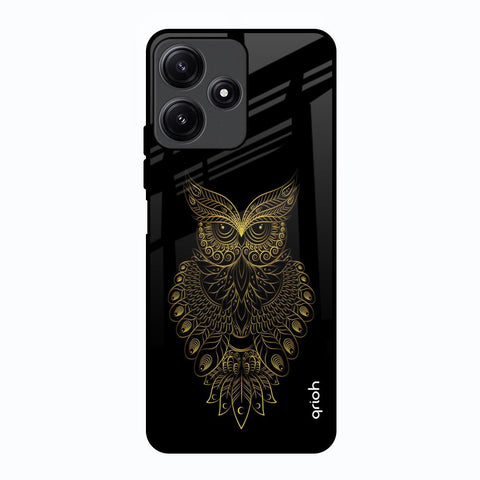 Golden Owl Poco M6 Pro 5G Glass Back Cover Online
