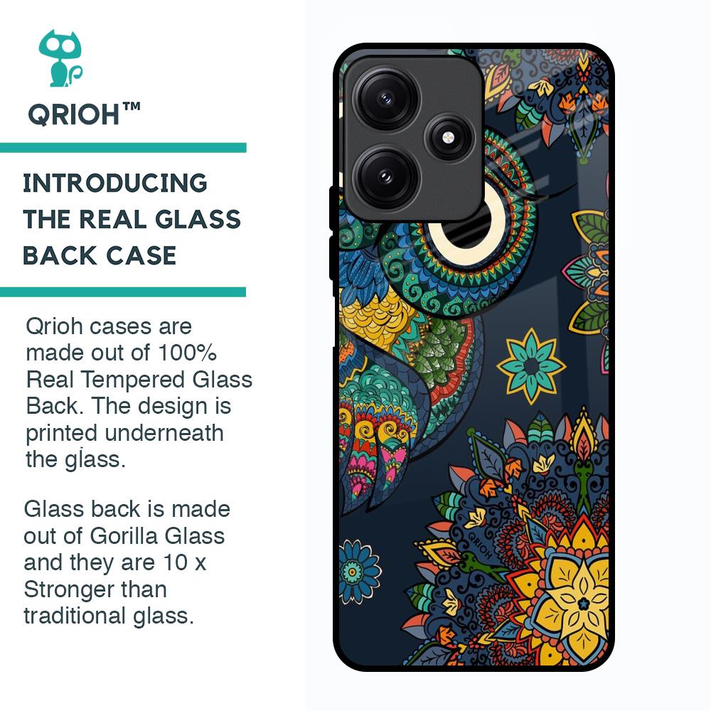 Owl Art Glass Case for Poco M6 Pro 5G