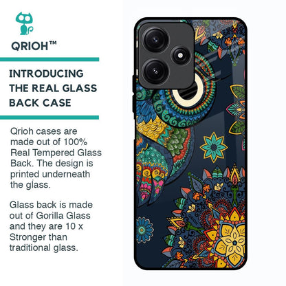 Owl Art Glass Case for Poco M6 Pro 5G