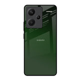 Deep Forest Redmi Note 13 Pro Plus 5G Glass Back Cover Online