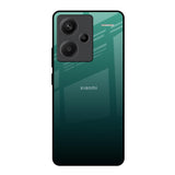 Palm Green Redmi Note 13 Pro Plus 5G Glass Back Cover Online