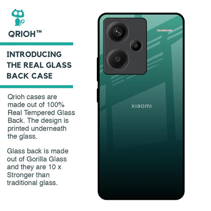 Palm Green Glass Case For Redmi Note 13 Pro Plus 5G
