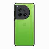 Paradise Green Oneplus 12 Glass Back Cover Online