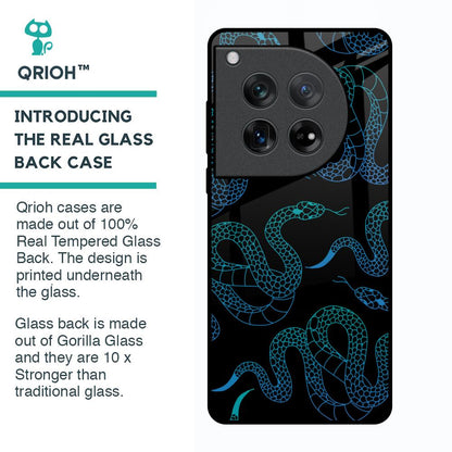 Serpentine Glass Case for Oneplus 12
